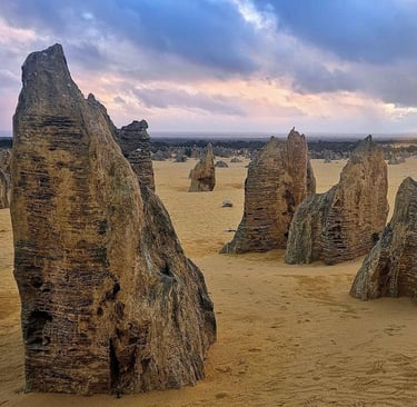 Limestone pinnacles rise from yellow desert sand at Nambung National Park during a cloudy sunset.