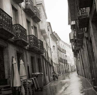A narrow cobblestone European street in black and white with ornate iron balconies and wet pavement.