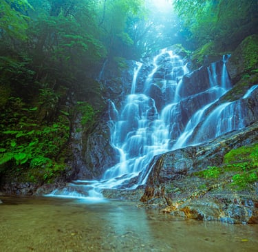 A long exposure waterfall cascading down dark rocks in a lush, misty green forest.