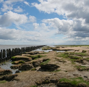 Rustic wooden groynes line a sandy North Sea coastal landscape under a cloudy blue sky.