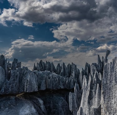 Jagged gray limestone peaks of Tsingy de Bemaraha National Park in Madagascar under a cloudy sky.