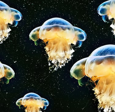 A group of glowing blue and yellow jellyfish swimming in dark deep sea water.