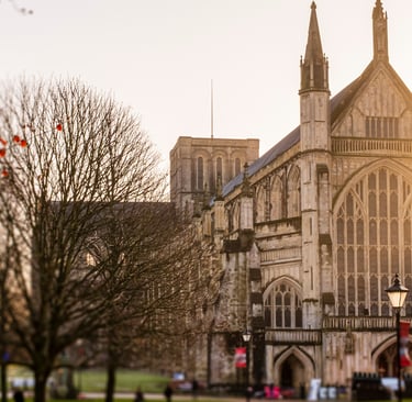 Historic Winchester Cathedral architecture at sunset with autumn trees in the foreground.