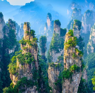 Aerial view of Zhangjiajie National Forest Park's tall sandstone pillars covered in green foliage and mist.