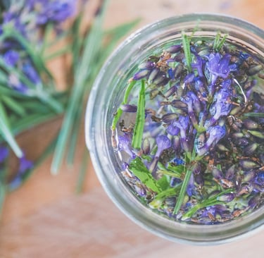lavander in a jar with water