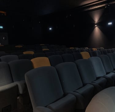 Photographie de notre salle de spectacle à Doussard (74).