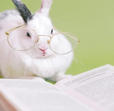 a white rabbit rabbit wearing glasses and a pair of glasses