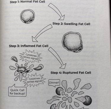 A fat cell is swolling, inframed, and broken.