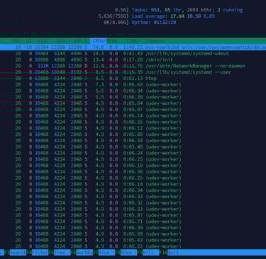 amd rpyc 9754 htop output