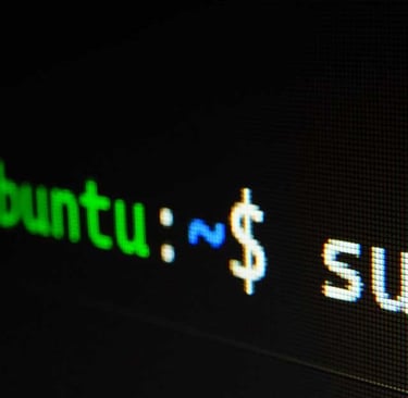 linux sudo command