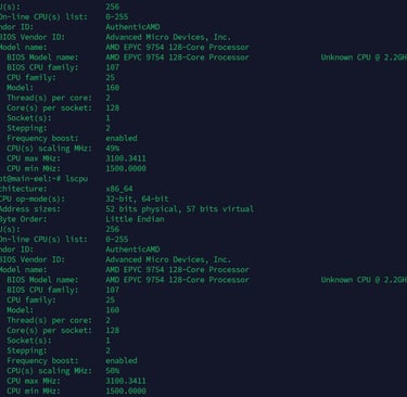 amd epyc 9754 lscpu output