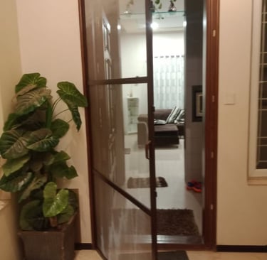 Sleek open type SS mesh Hinged flying door