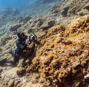 Sébastien Saintignan taking pictures underwater