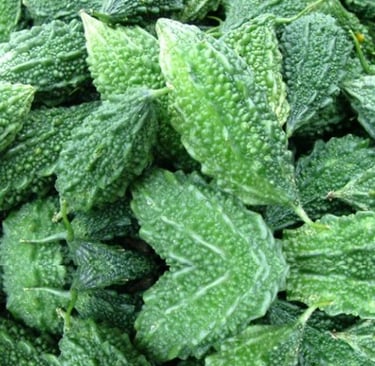 Bitter Melon