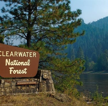 Places I dream about