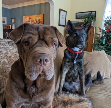 Leon (RIP) and Bruce Willis circa 2021