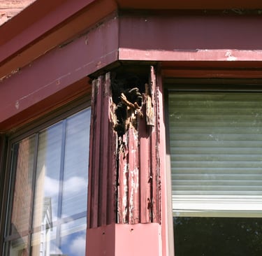 Under the aluminum I discovered rotted fluted wood trim. 