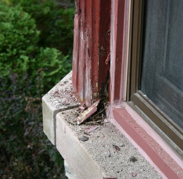 Someone had repaired the rotted wood using plaster/mortar decades ago