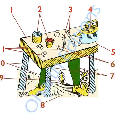 extrait du livre Tarot de Marseille le sens par l'image