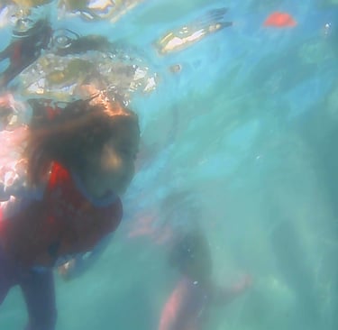 clases de natacion para bebes en Merida Yucatan Mexico