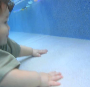 clases  de natacion para bebes MundoAqua en Merido Yucatan