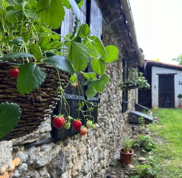 Charmant vakantiehuis in de Pyreneeën met groene tuin en natuur rondom Foix in Ariège