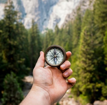 Expat Looking for Direction