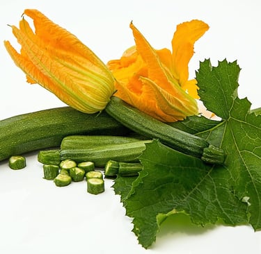 a squashcori squashcori squashcori squashcori squash squash squash