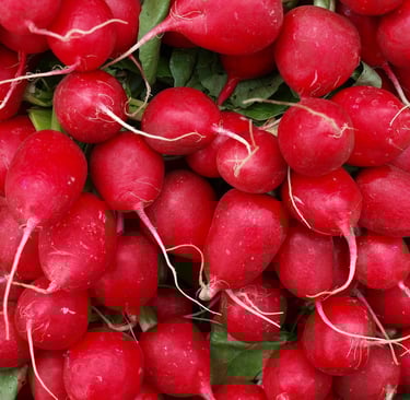 a bunch of radishes on display in a store