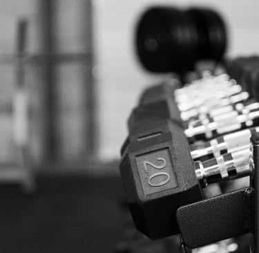 dumbbells on a rack in a gym