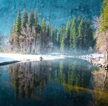A beautiful landscape with pine trees and a river