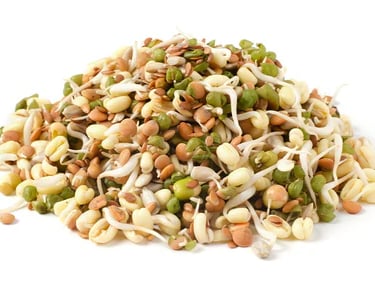 A variety of sprouted grains, seeds, and legumes including Bajra, Barley, Wheat, Maize, Ragi, Alfalf