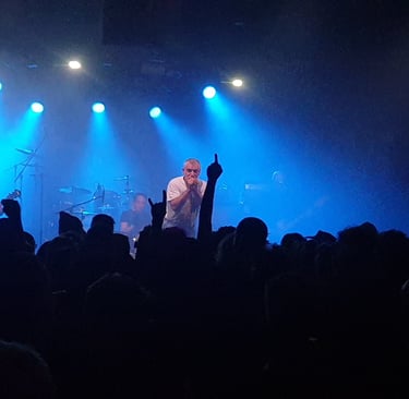 Toxoplasma, Band, Konzertfoto, Punk, Grobes Fest