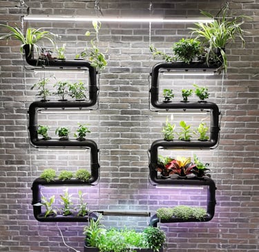jardin hydroponique
