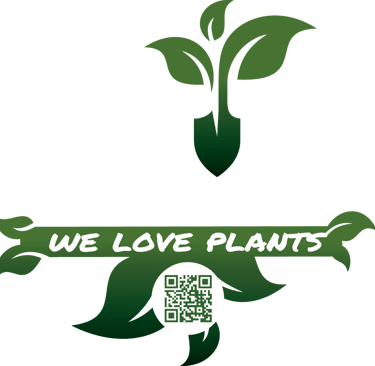 grow win namur terrarium plante