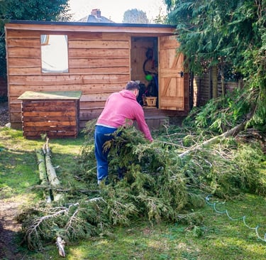 best tree surgeon