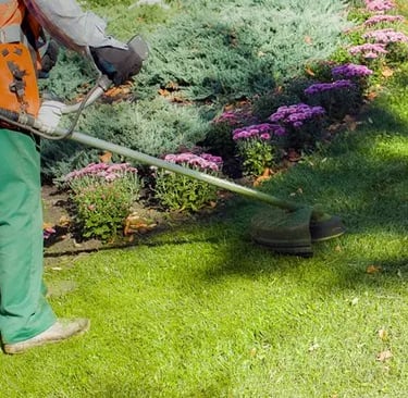 Garden Clean Up