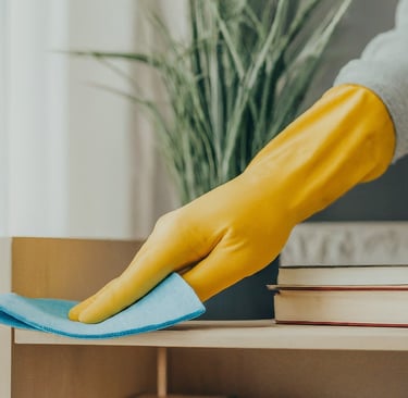 Cleaning Services