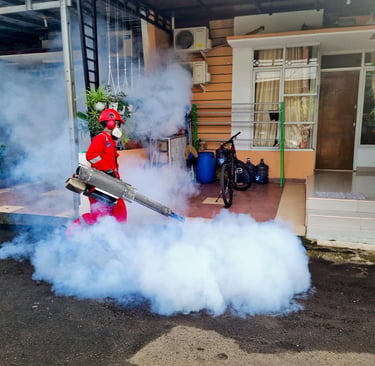 Pest Control in London