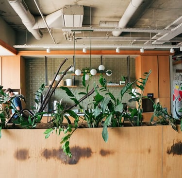 Comprehensive Office Cleaning 