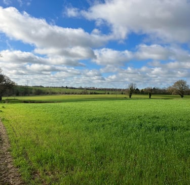 England landscape