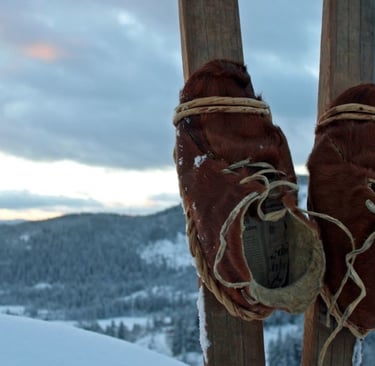 two skis stuck upright in the snow with leather shoes