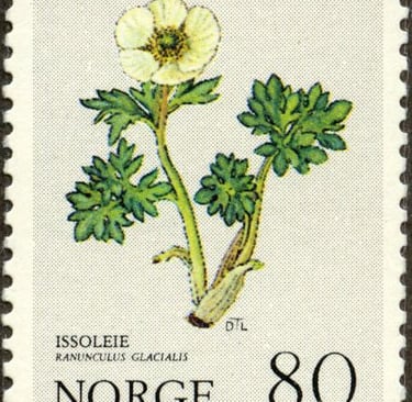 Norwegian postage stamp with a wihte flower-pd