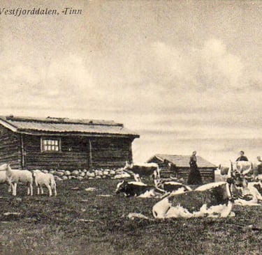Sheep, cows and people in front of an old building, b&w-pd