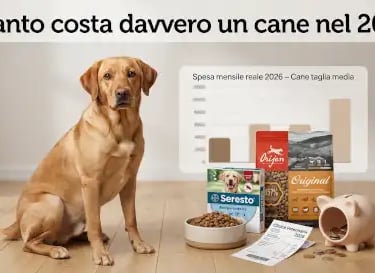 a dog sitting on a wooden floor next to a bowl of food