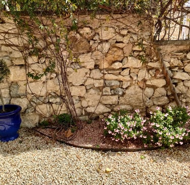 Der Blumengarten und die Trockenmauer der Maison d'Yvette, einem charmanten Ferienhaus in Le Barroux