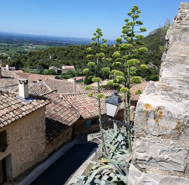 Blick auf das malerische Dorf Le Barroux in der Provence, Mont Ventoux