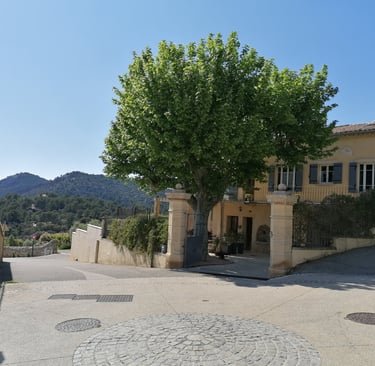 La Maison d'Yvette, ein großes Familienhaus, Ferienunterkunft in Ventoux, Provence
