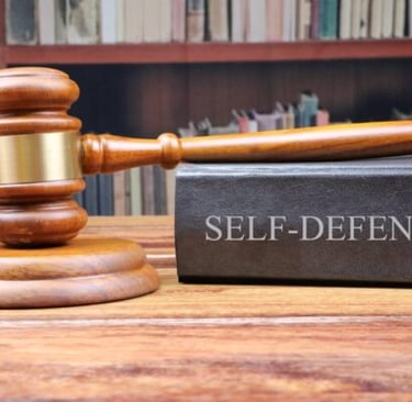 Understanding the Legal Use of Force: When and How to Defend Yourself
