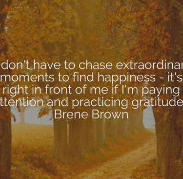 a road leading through trees with a quote from Brene Brown